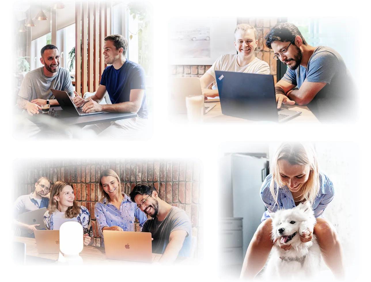 The Flobotics team working together on laptops in the office, and a colleague playing with a white dog